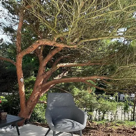 & Vins - D'exception Bed & Breakfast